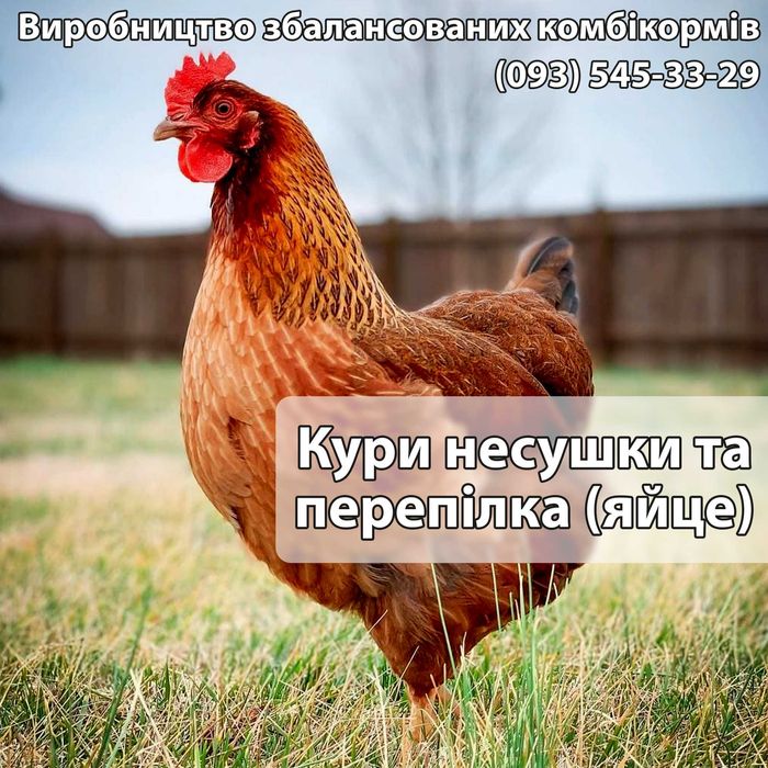 Комбікорм для курки несушки та перепілки (яйце) ДОСТАВКА БЕЗКОШТОВНА!