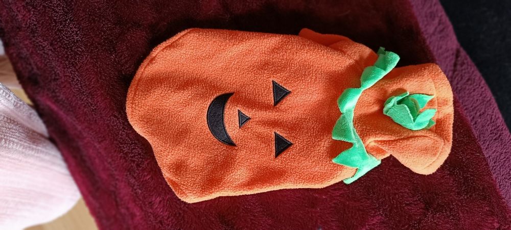 Camisola de cão tamanho M Halloween . Usado uma vez