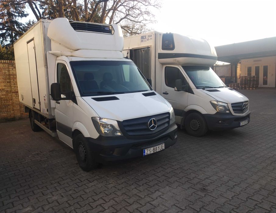 Mercedes Sprinter 316/Chłodnia Mroźnia/2016/8 Palet 4,2/2.1m/230V/Dobry Stan/2 komory