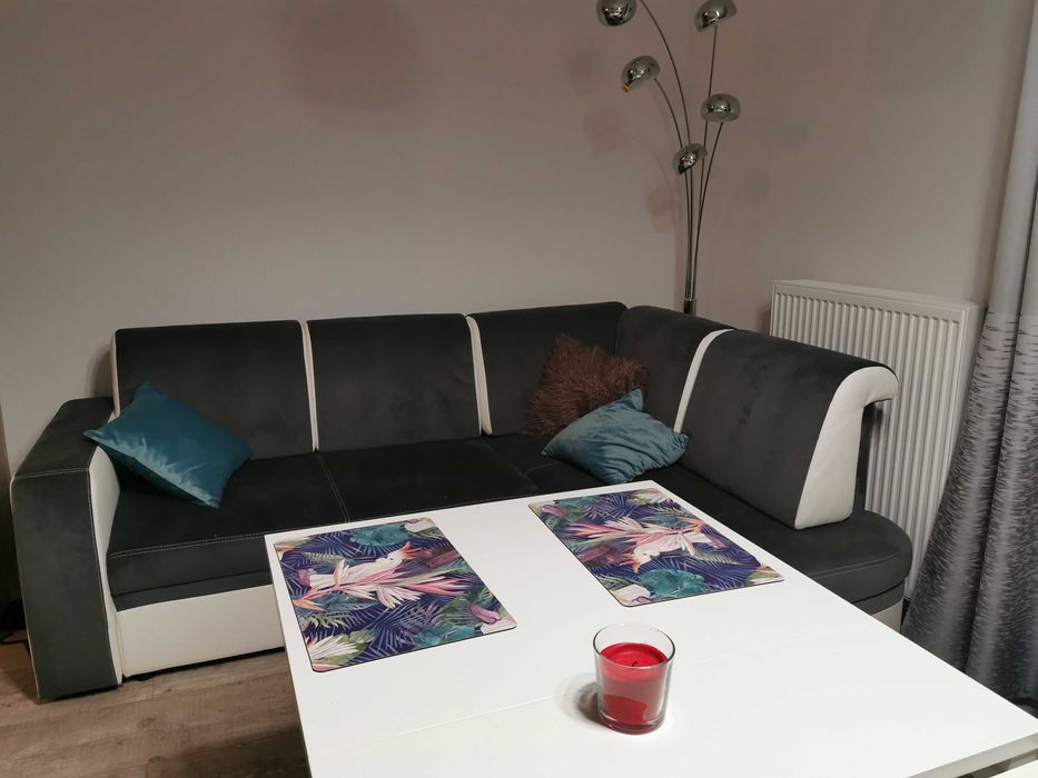 Kawalerka w centrum 10 min do rynku pieszo do wynajecia od zaraz!