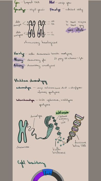 Notatki maturalne biologia rozszerzona pdf
