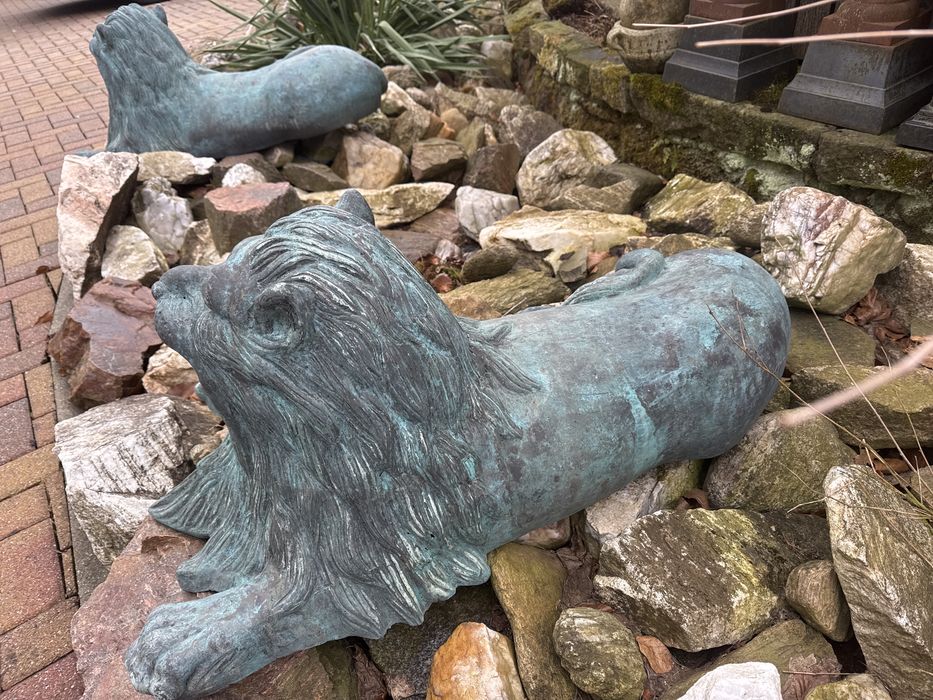 Stare lwy orientalne z brązu lew kolekcja