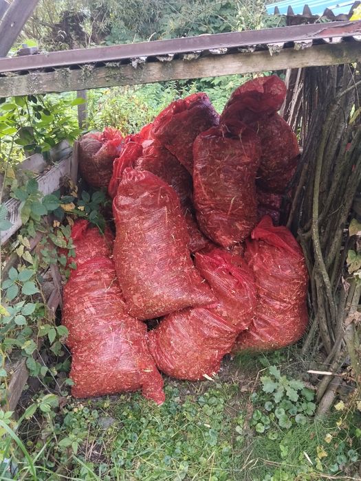 Zrębki liściaste w workach