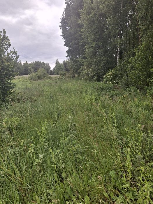 Działka budowlana/Warunki Zabudowy/Dom jednorodzinny/Komory Dąbrowne