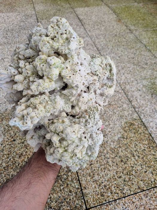 Pedra Coral para Aquário