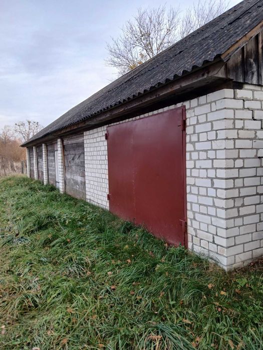 Продам будинок с Борсуків