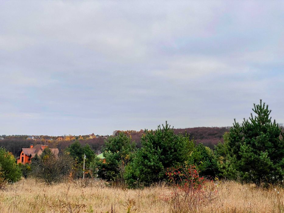 Продаж унікальної ділянки 9 сот з Соснами та видом на Заповідний ліс.