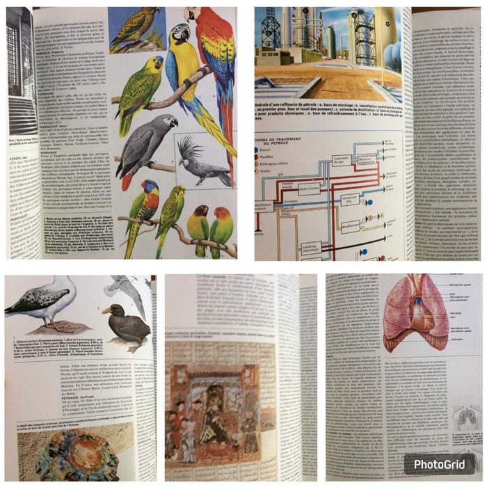 Encyclopédie Rombaldi 360...12 volumes ( Completa ). Excelente preço