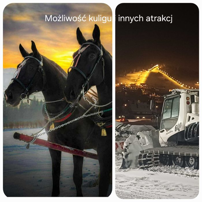 Wolne pokoje z widokiem. Panorama u Koszutów