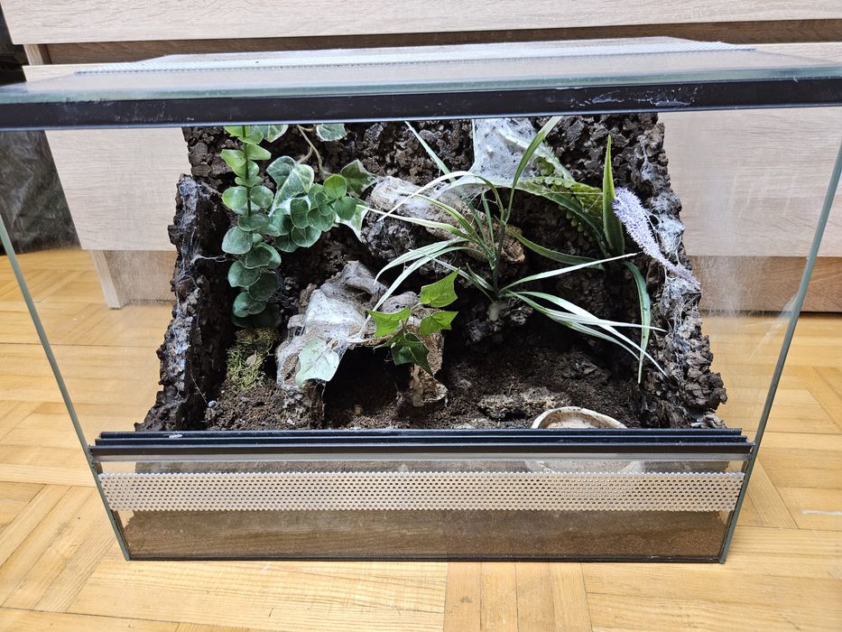 Terrarium 40x25x25