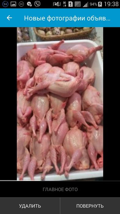 продам мясо перепела