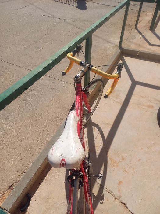 Bicicleta Berg fuego de estrada