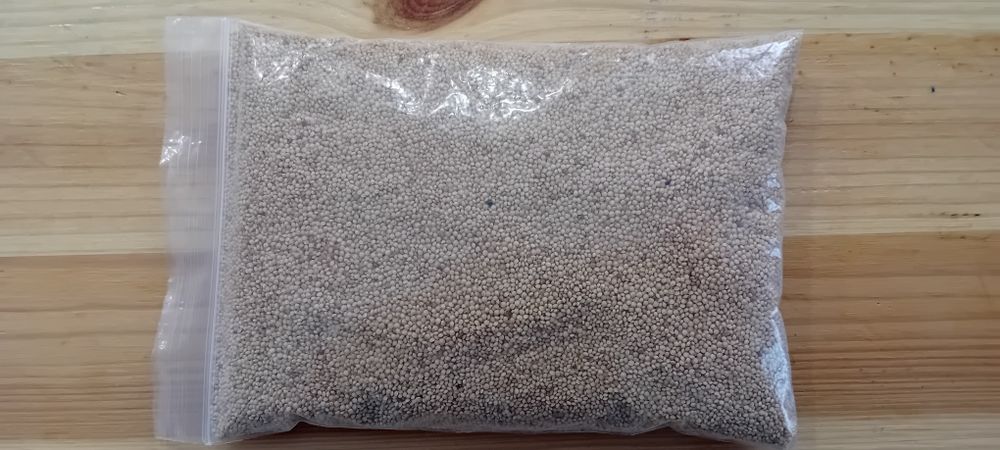 Sementes microgreens