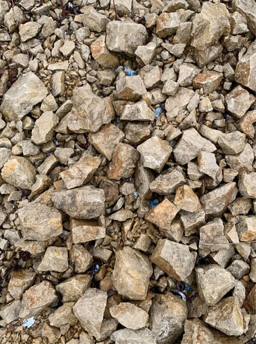 Piaskowiec dzikówka kamień naturalny m2 lub luz