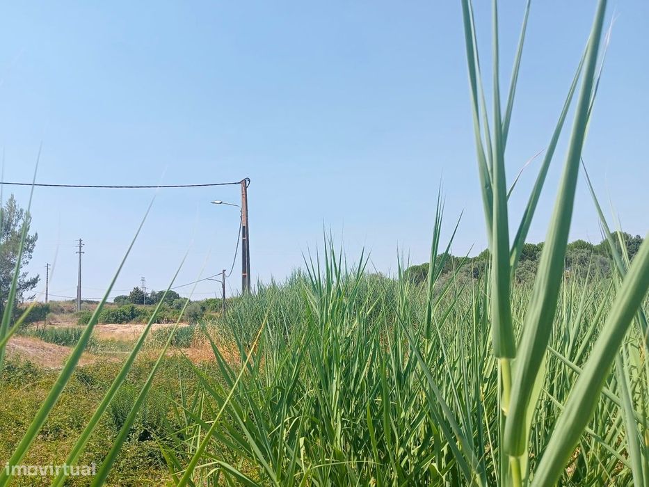 Terreno para Venda - 707 m²