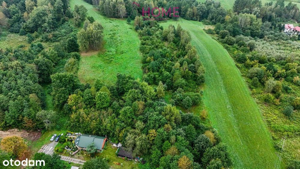 Nowy Borek 1,3675 ha- w trakcie Wz zagrodowa
