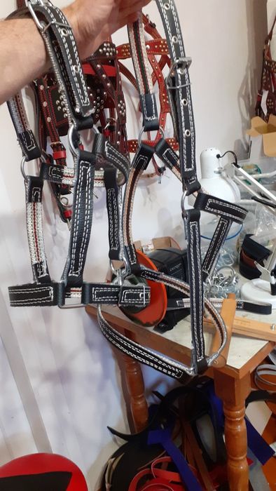 корове недоуздок кантар кантарка телёнку быку джерси голштын айширская