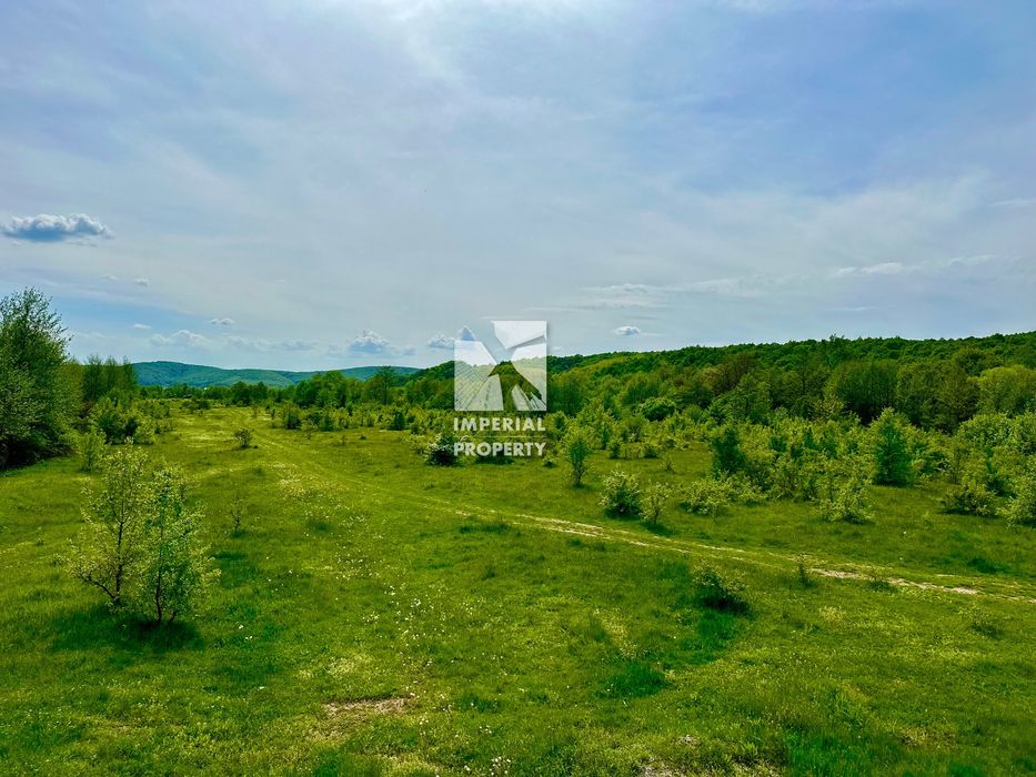 Продам унікальний і неповторний будинок в затишному куточку Закарпаття