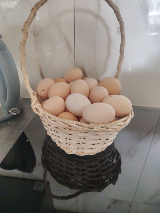Sprzedam świeże jajka od młodych kurek.
