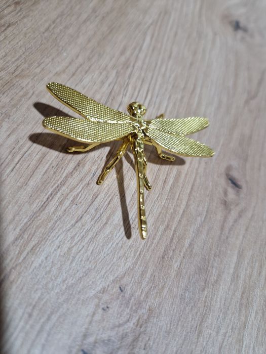 Libelinha dourada.  Nova