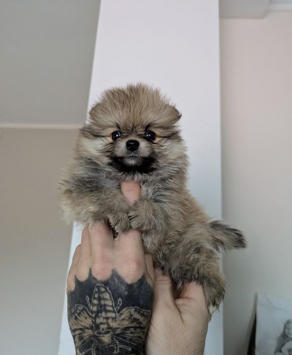 Дівчинка! Маленька! Чемна