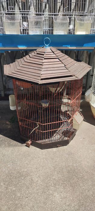 Gaiolas para venda ou troca por aves peixes ou outro