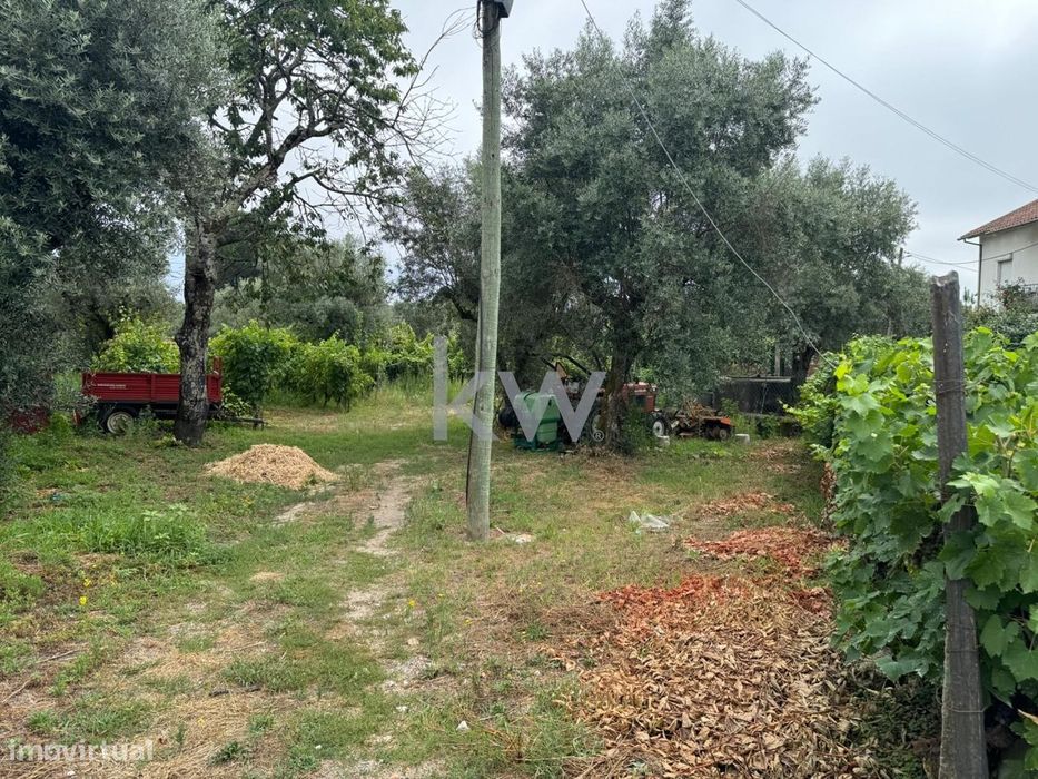 Terreno rústico para venda em Casal Jusão, Silgueiros  com 1055m2