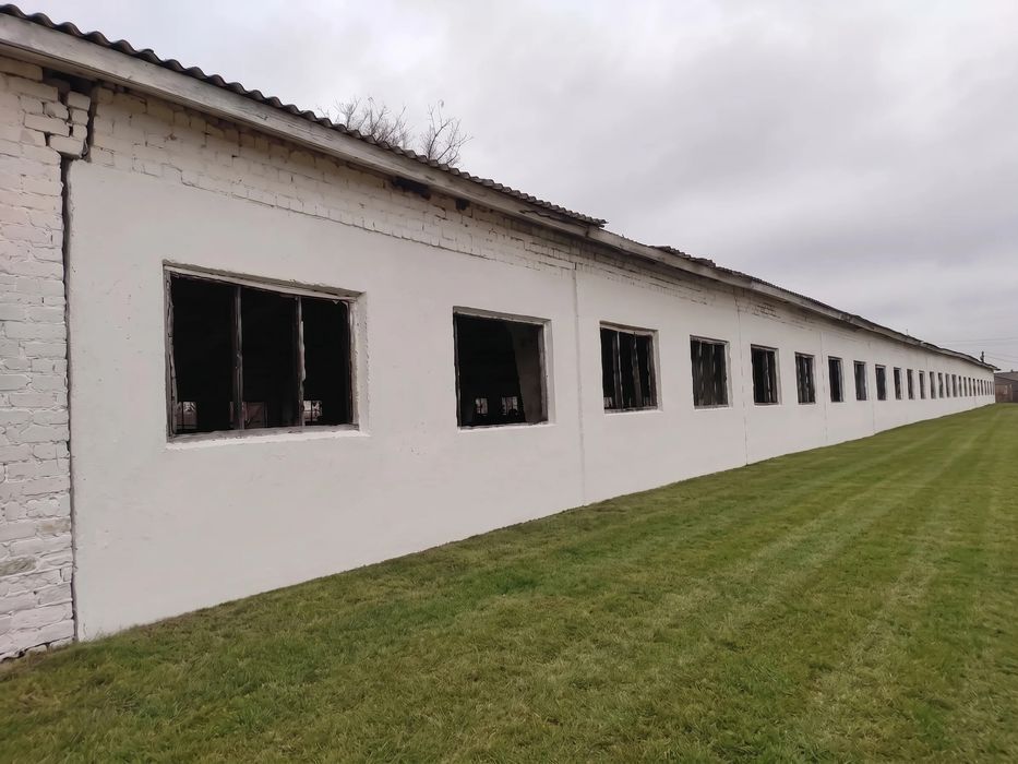 Продаж комплексу 30 000 м², Чернігівська обл.: ферма / склад / виробництво