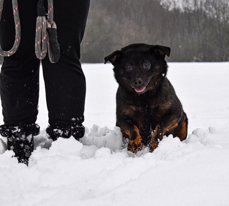 Zrobiła ogromne postępy! Szuka kochającej Rodziny!