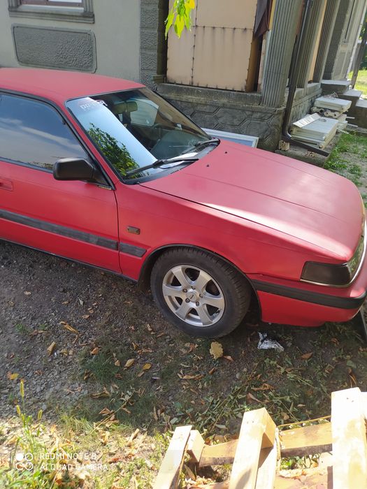 Бодрая лошадка ждёт нового хазяина