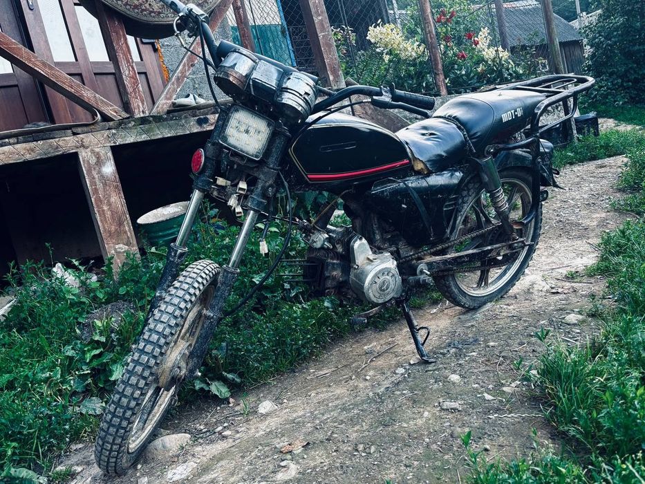 Мустанг 125 динго