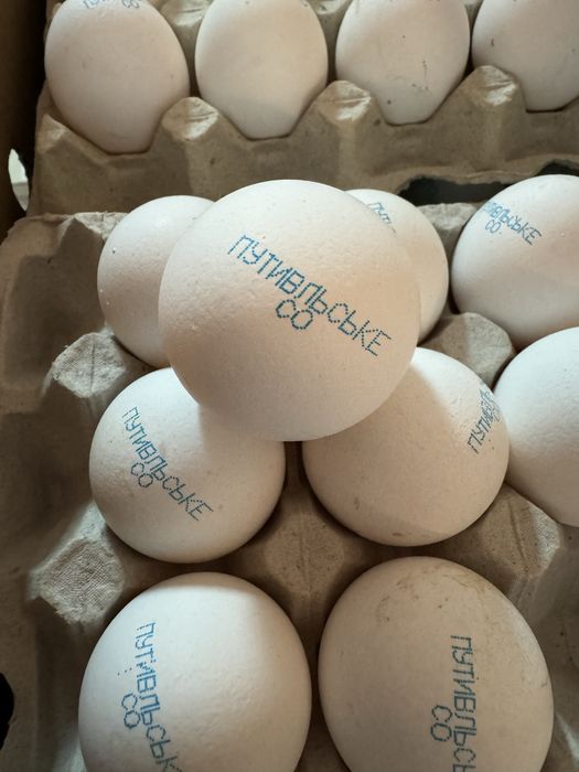 Продам яйцо куриное/перпелиное