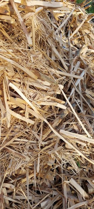 Тріска скалка тріски скалки для опалення чи щепи  віддам безкоштовно