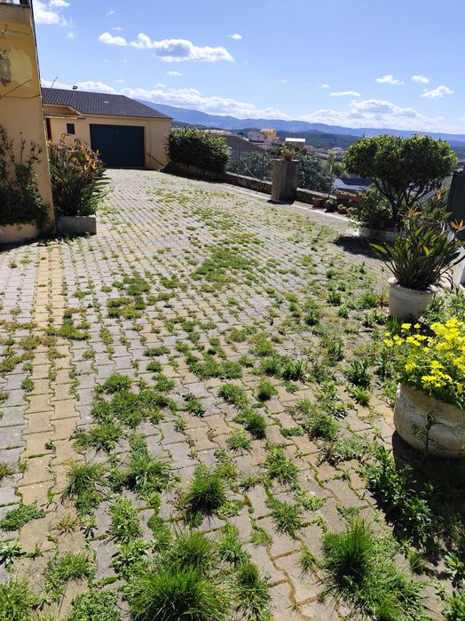 Limpeza de Jardins e Terrenos