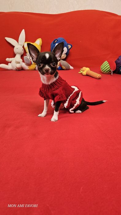 Міні розмір, шоколадна дівчинка