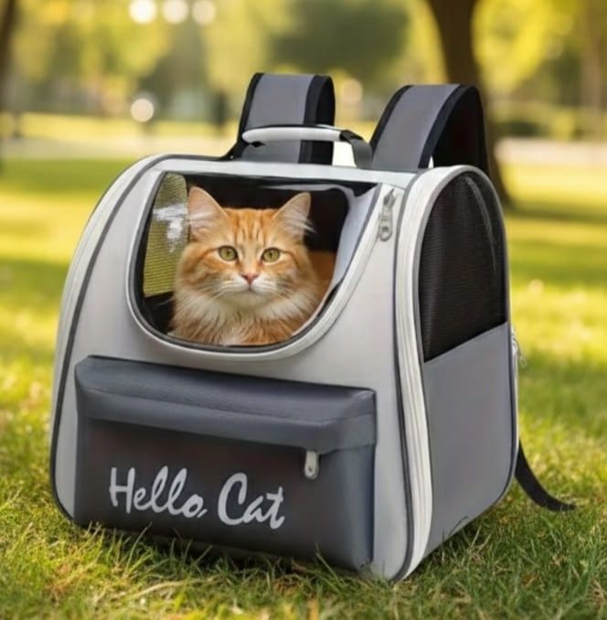 Mochila para transportar gato ou cão