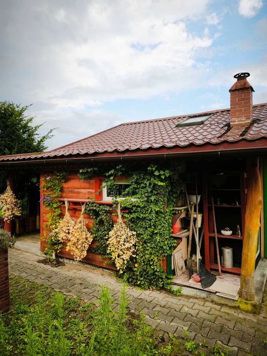 Zdjęcie 5