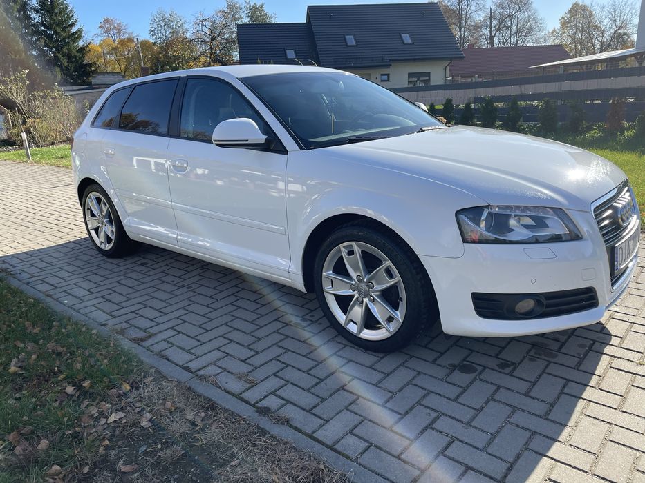 Audi A3 8P 1.6 TDI