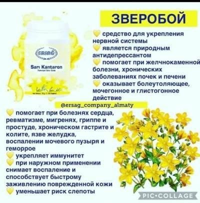 Продам Протек 20 Ersag