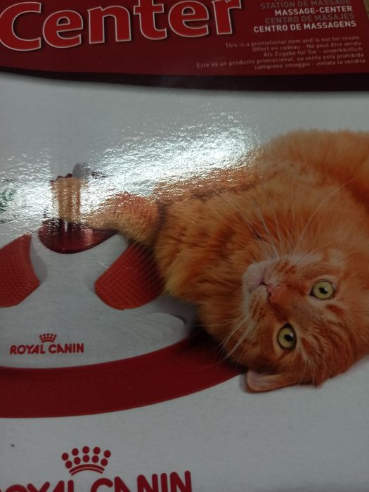 Massage center Royal canin