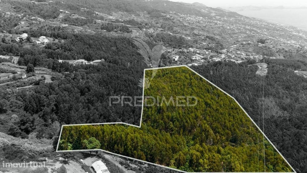 Terreno Rústico - Ideal para Projeto Agrícola