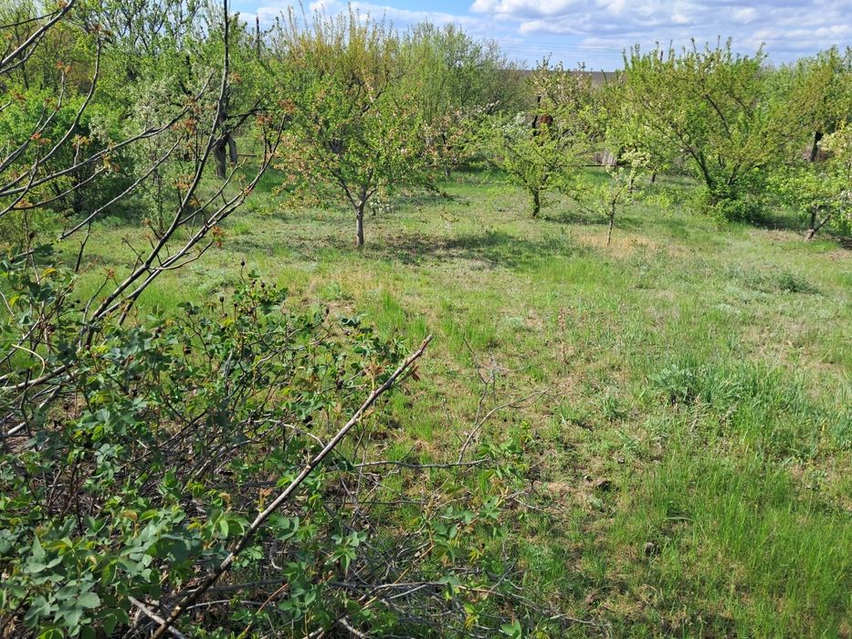 Дача земельный участок СТ Радист