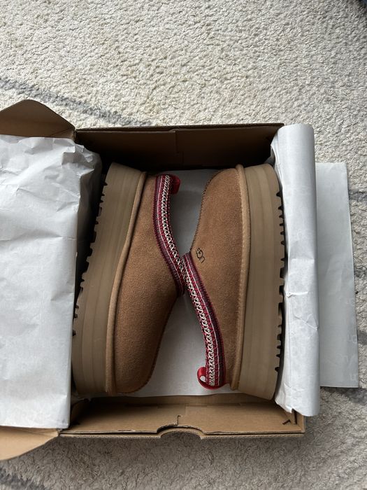 UGG Tazz уггі жіночі | руді [37-40]