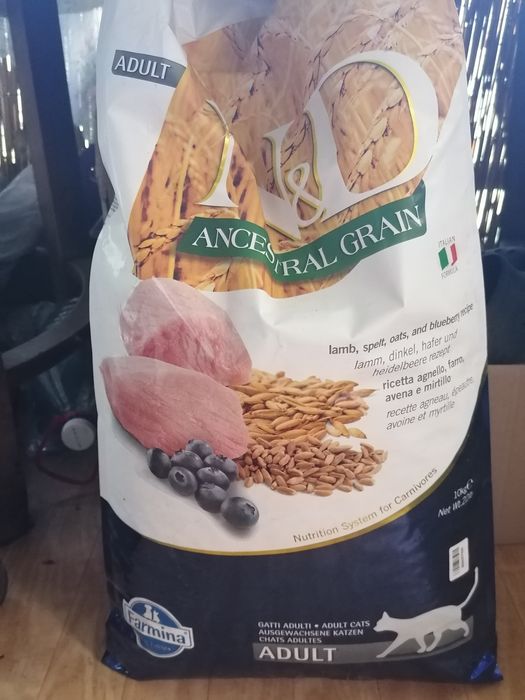 продам корм для кошек по акции