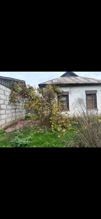 Будинок (Козелець чернігівська обл )