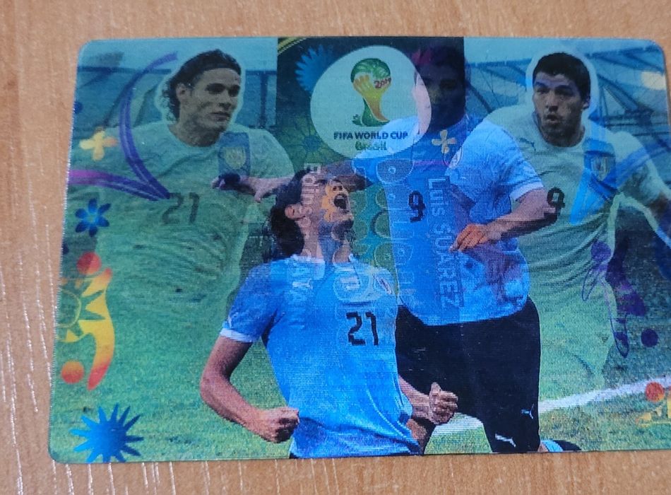 Karty Panini World Cup 2014