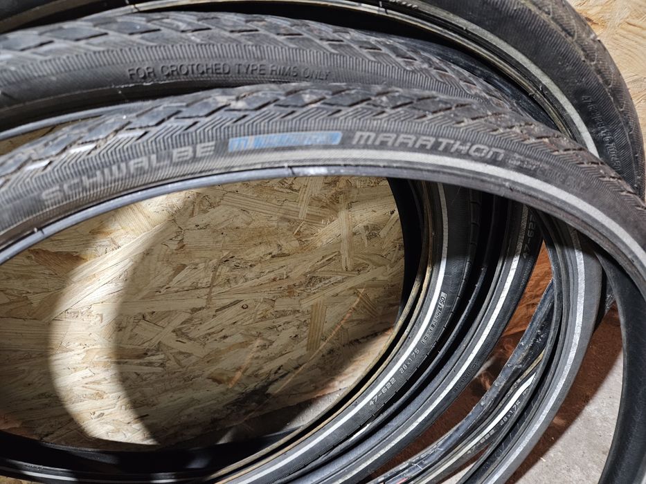 Continental contact plus  Schwalbe Kenda