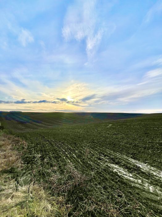 ‼️Продається ПАЙ Колоденка за хорошою ціною‼️