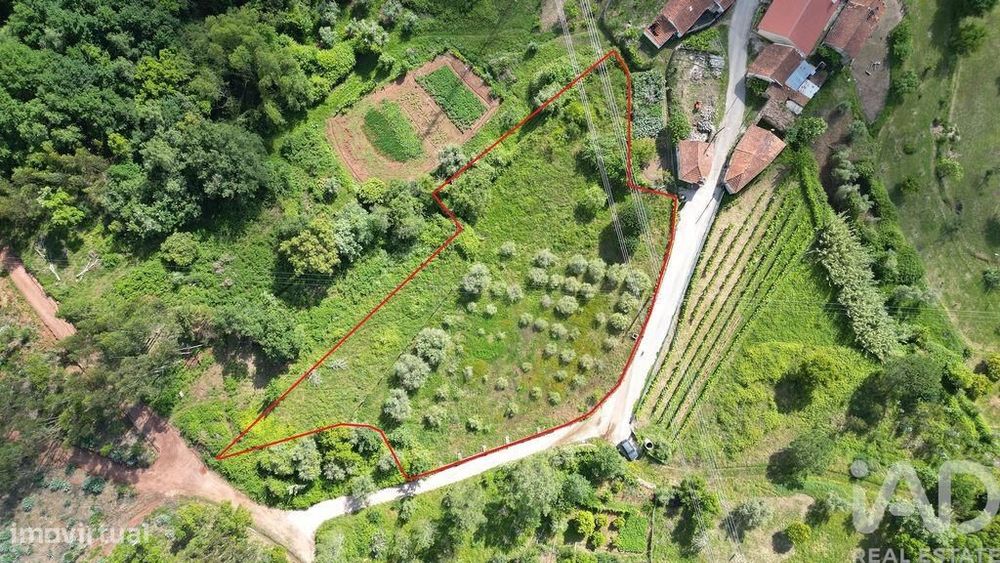 Terreno para construção em São Miguel, Santa Eufémia e Rabaçal