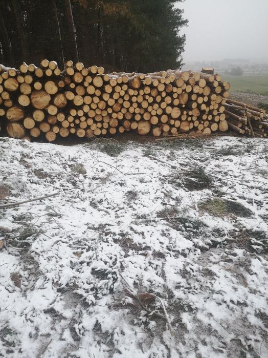 Drewno opałowe..
